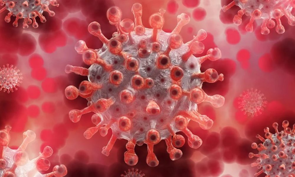 No Need To Panic, New COVID Variant Not In Nigeria — NCDC