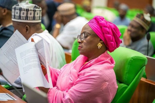 House Of Reps Mourns Deputy Chief Whip, Adewunmi Onanuga