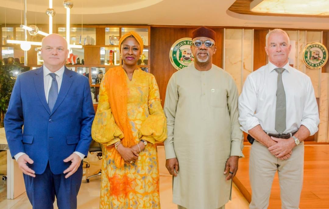 Dapo Abiodun And The Fake News Enterprise