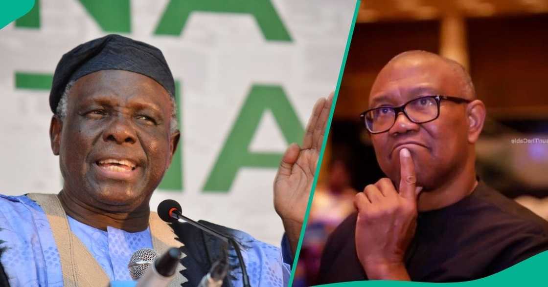 Peter Obi Can Secure North With PDP Comeback – Jerry Gana