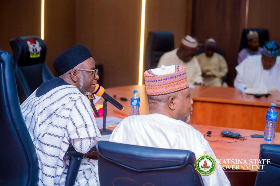 NASS Committee Launches Probe Into Healthcare Challenges In Katsina