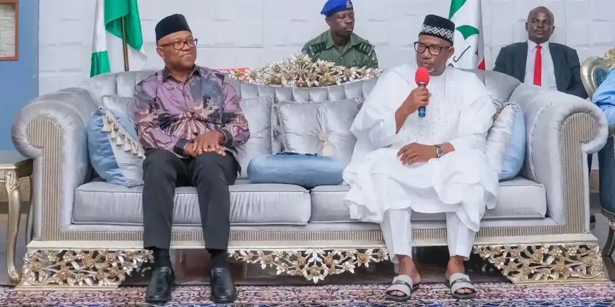 Bauchi Governor Urges Peter Obi To Return to PDP