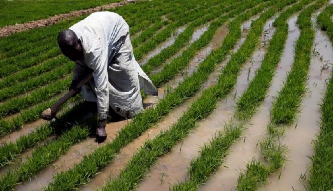 Kebbi Residents Protest Alleged Confiscation Of Farmlands
