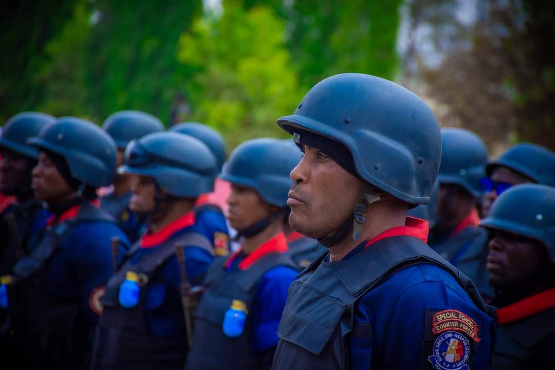 NSCDC Lacks Capacity For VIP Protection — Ex-DSS Director