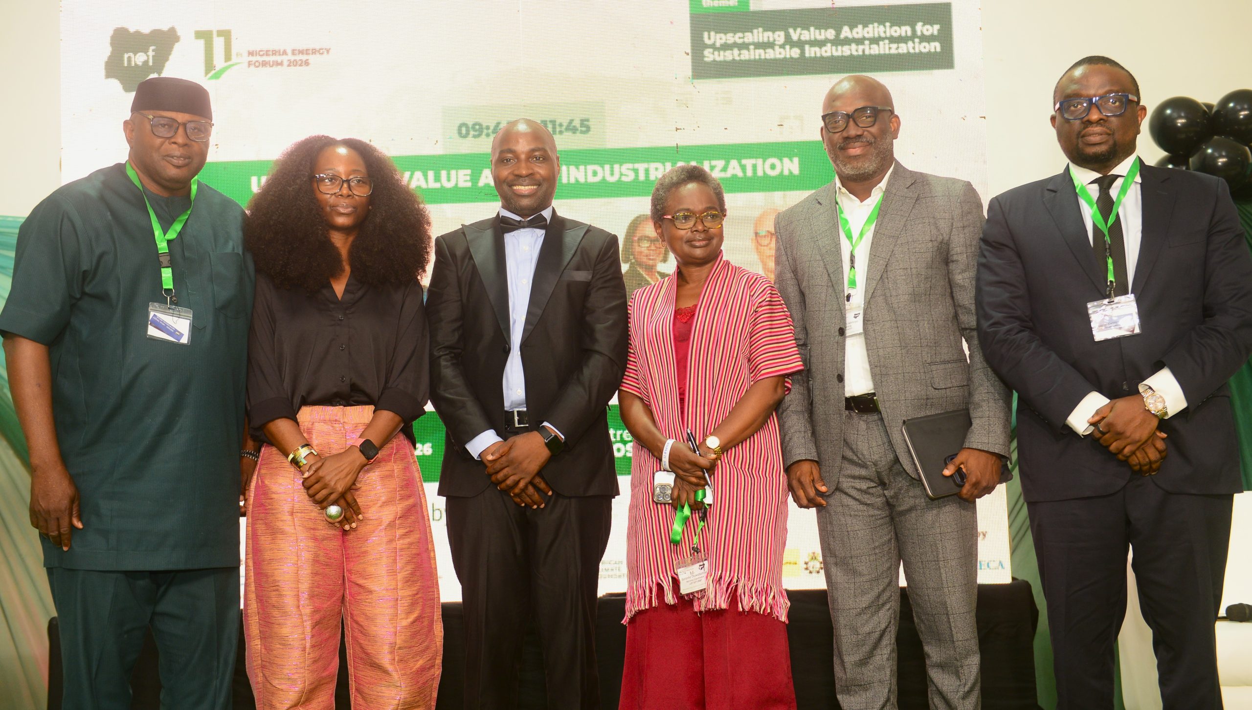 Interswitch Calls For Greater Investment In Energy Infrastructure To Accelerate Financial Inclusion Across Africa